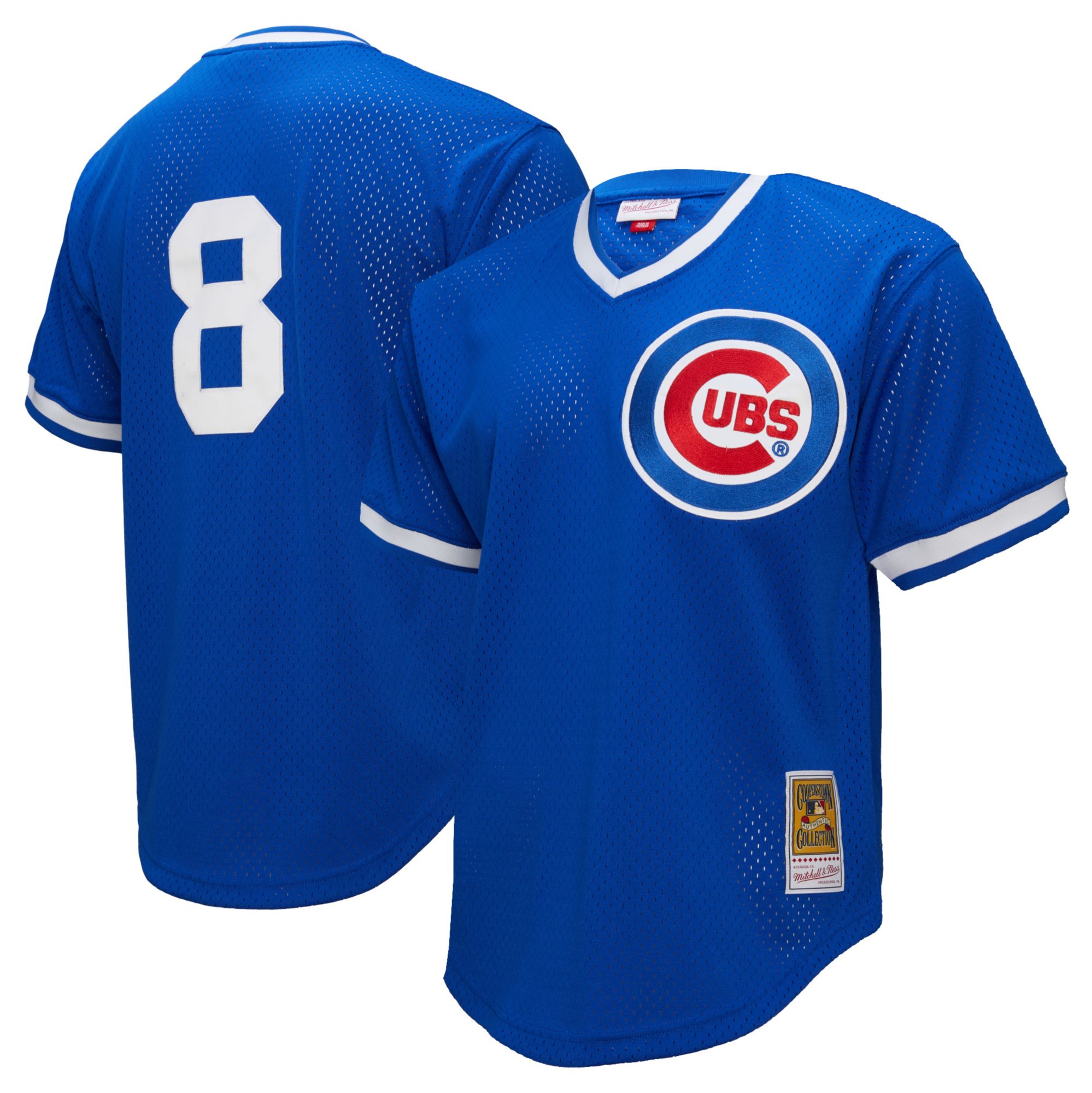 Mitchell & Ness Men's Chicago Cubs Andre Dawson #8 Royal Mesh Alternate Jersey product image
