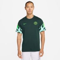 Nike Adult Nigeria 2026 Home Primary Statement T-Shirt | Dick's