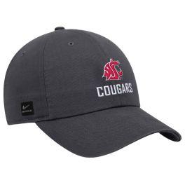 Men's Nike Gray Washington State Cougars 2023 Sideline
