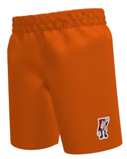 Nike Little Boys' Swim Breaker Boxy Patch 5” Volley Shorts product image