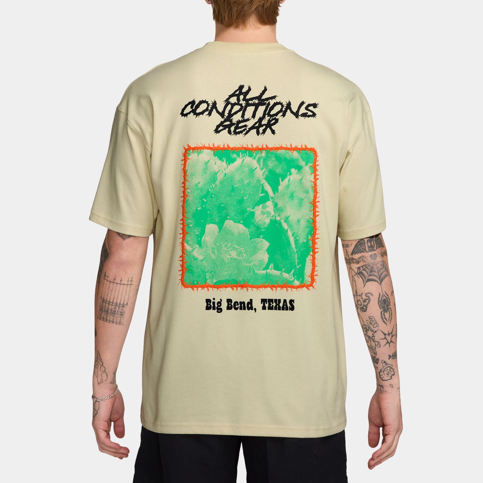 Nike Men's ACG Cactus Graphic T-Shirt product image