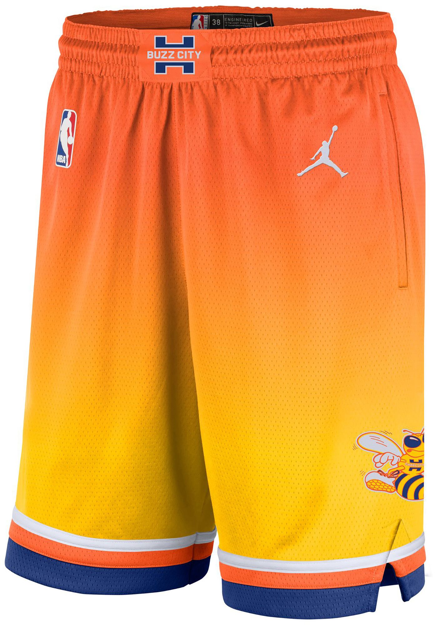 Jordan Adult 2025-26 City Edition Charlotte Hornets Swingman Shorts product image