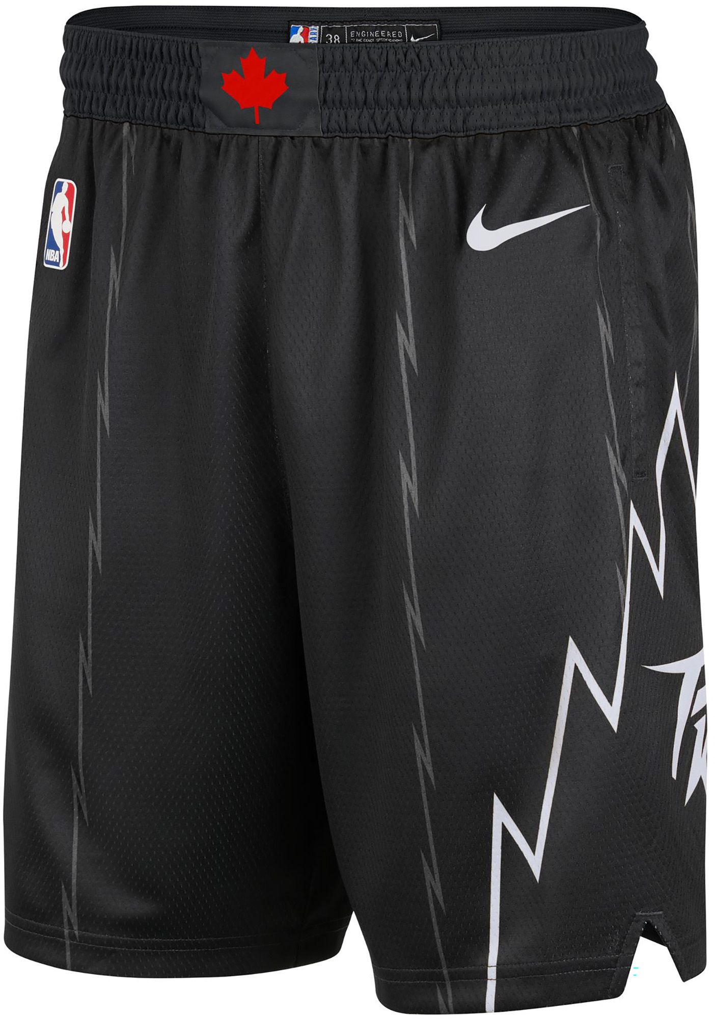 Nike Adult 2025-26 City Edition Toronto Raptors Swingman Shorts product image