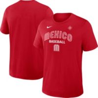 Nike スイス国旗 ポロシャツ　デビスカップ優勝　ウェア Dominican Republic National Baseball Team 2026 World Baseball