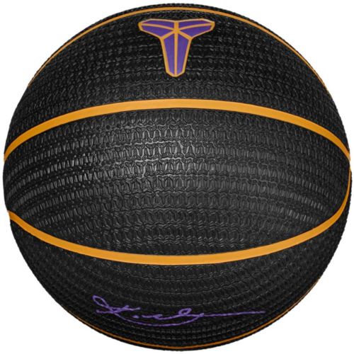 Nike Everyday Playground Next Nature Basketball | Dick's Sporting