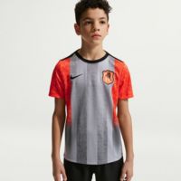 Nike Youth Chelsea FC 2025-26 Wolf Gray Prematch Jersey | Dick's