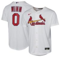25NIKYMLBCRDSWHTYSTLB_is?wid=200