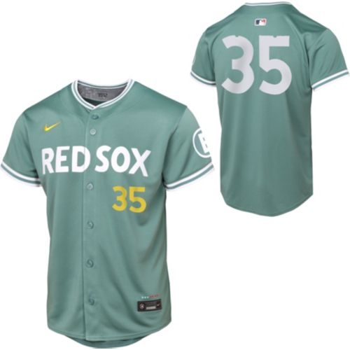 Nike Youth Boston Red Sox David Ortiz #34 City Connect Green