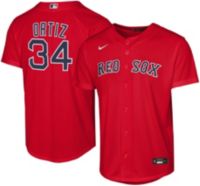 Nike Youth Boston Red Sox David Ortiz #34 Alternate Jersey