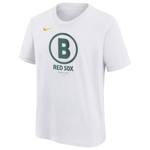 Nike Youth Boston Red Sox David Ortiz #34 Alternate Jersey