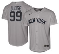 Nike Youth New York Yankees Aaron Judge #99 Gray Baseline Road