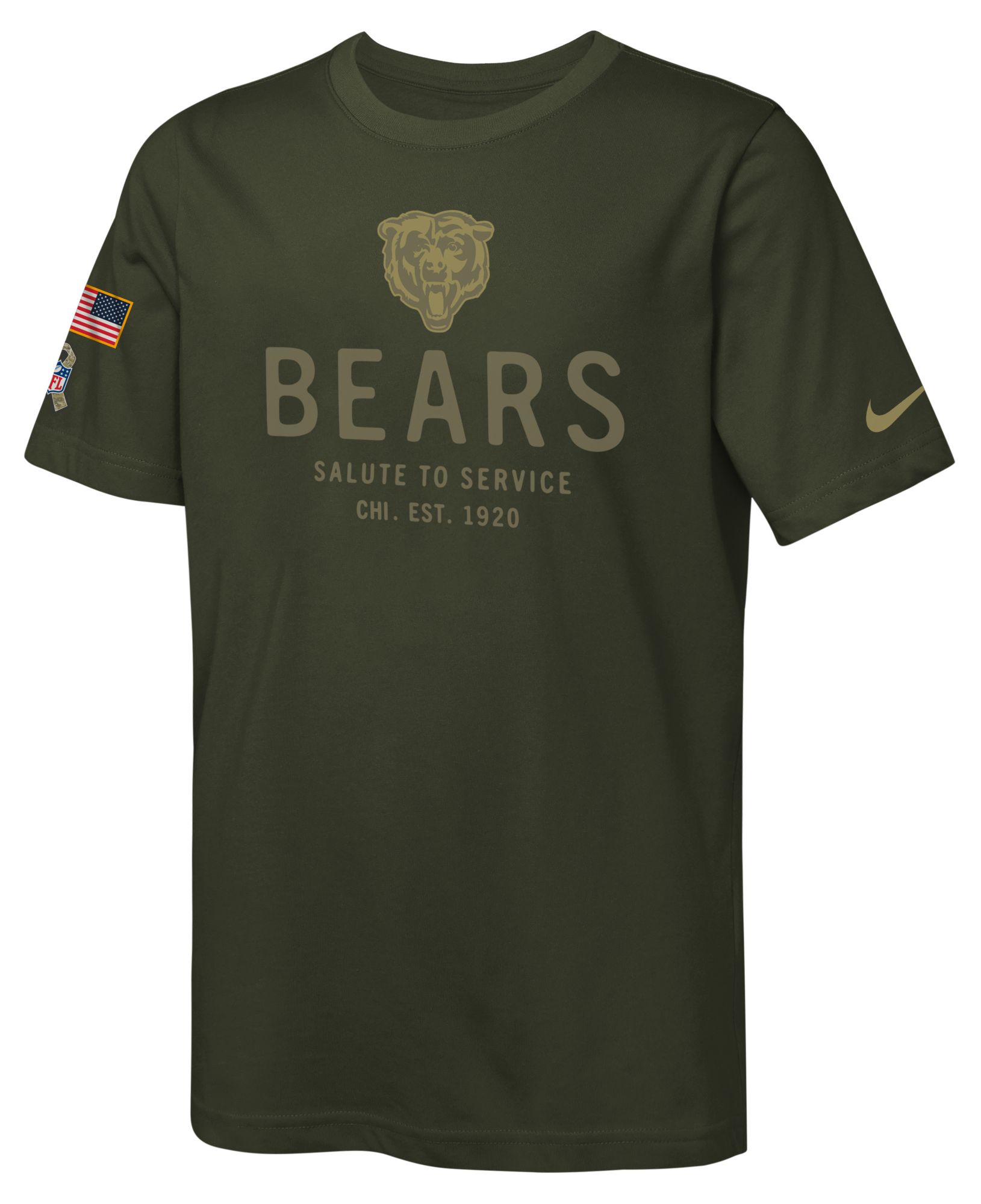 Nike Youth Chicago Bears Sequoia Salute to Service 2025 Dri-FIT T-Shirt product image