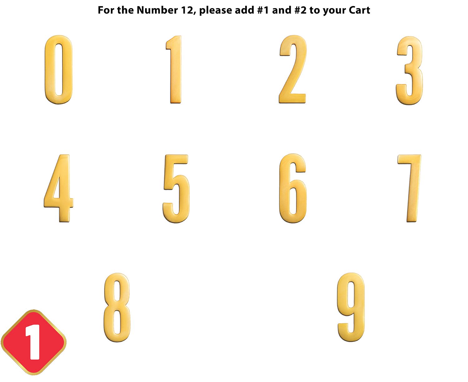 Nokona ShowBelt 4-Piece Custom Belt: Number Only (Piece #1) product image