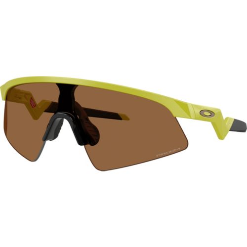 Oakley Radar EV Path Sunglasses | Dick's Sporting Goods
