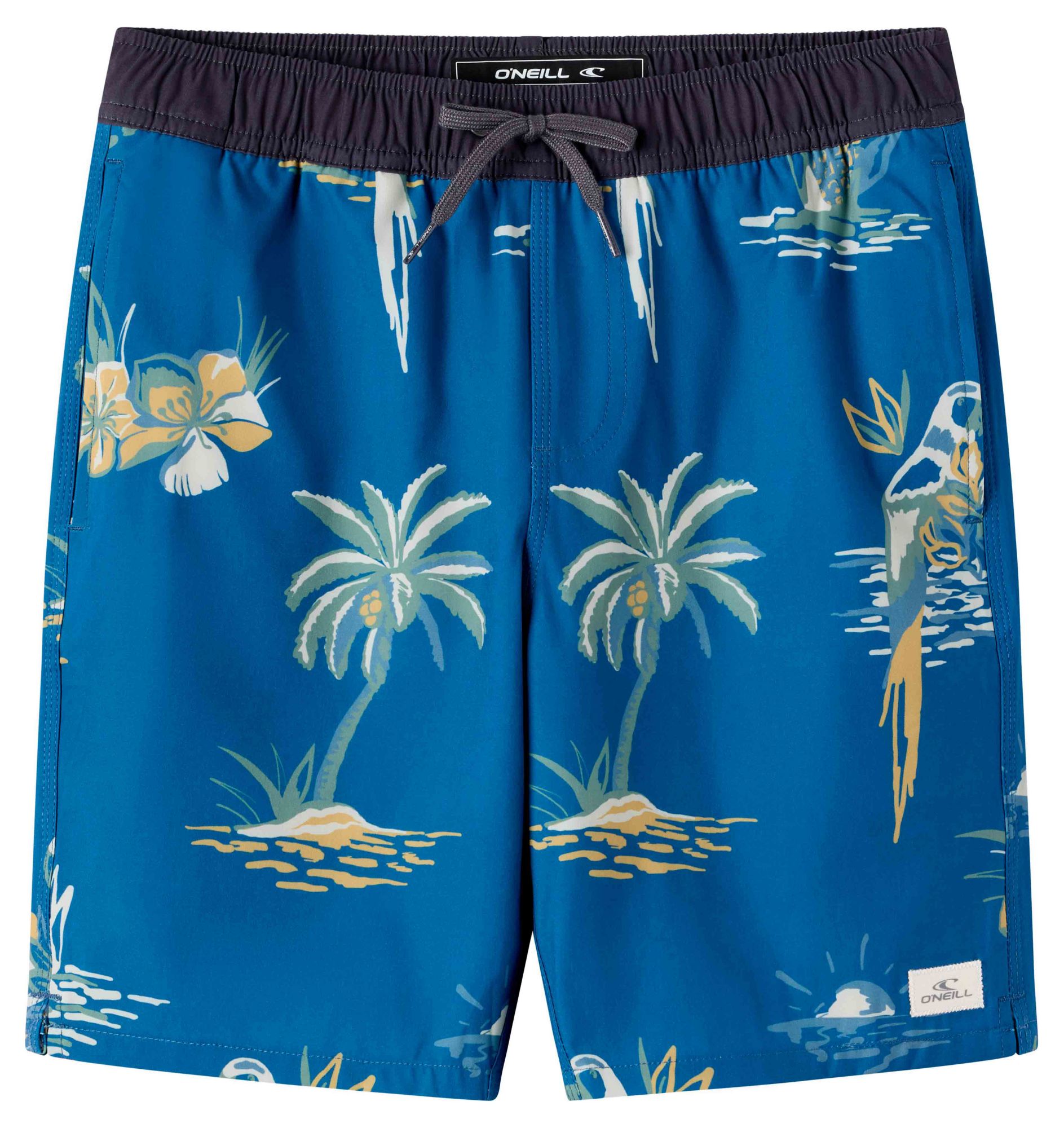 O'Neill Boys' Hermosa Elastic Waist Lined 16" Swim Trunks product image