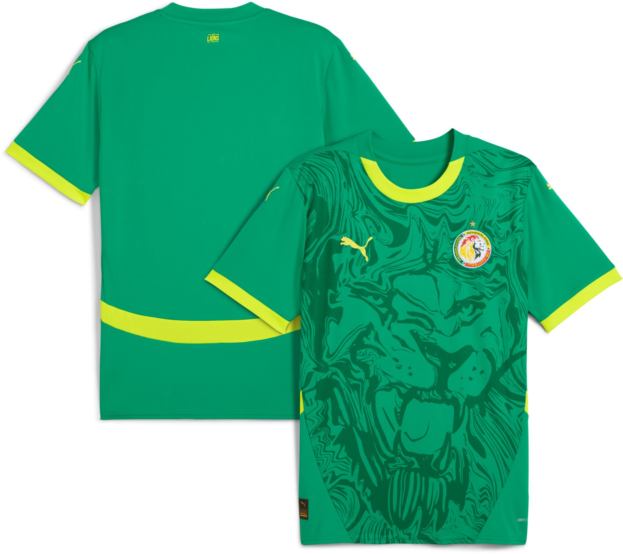 PUMA Men's Senegal Green Away Replica Jersey product image