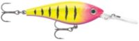 Rapala Harvest Shad Hard Bait | Dick's Sporting Goods
