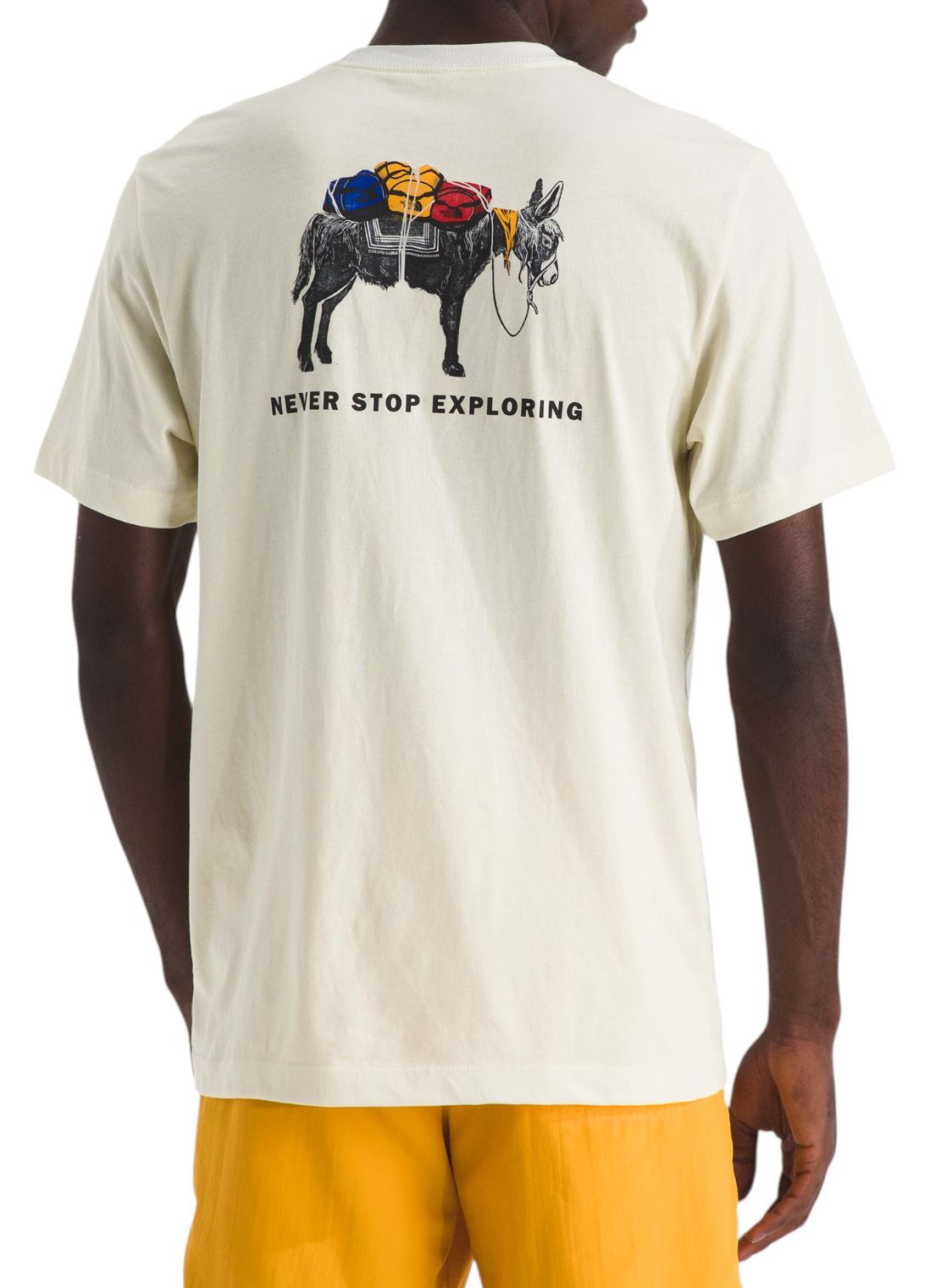 The North Face Men's Evolution Pack Graphic Shirt Sleeve T-Shirt product image