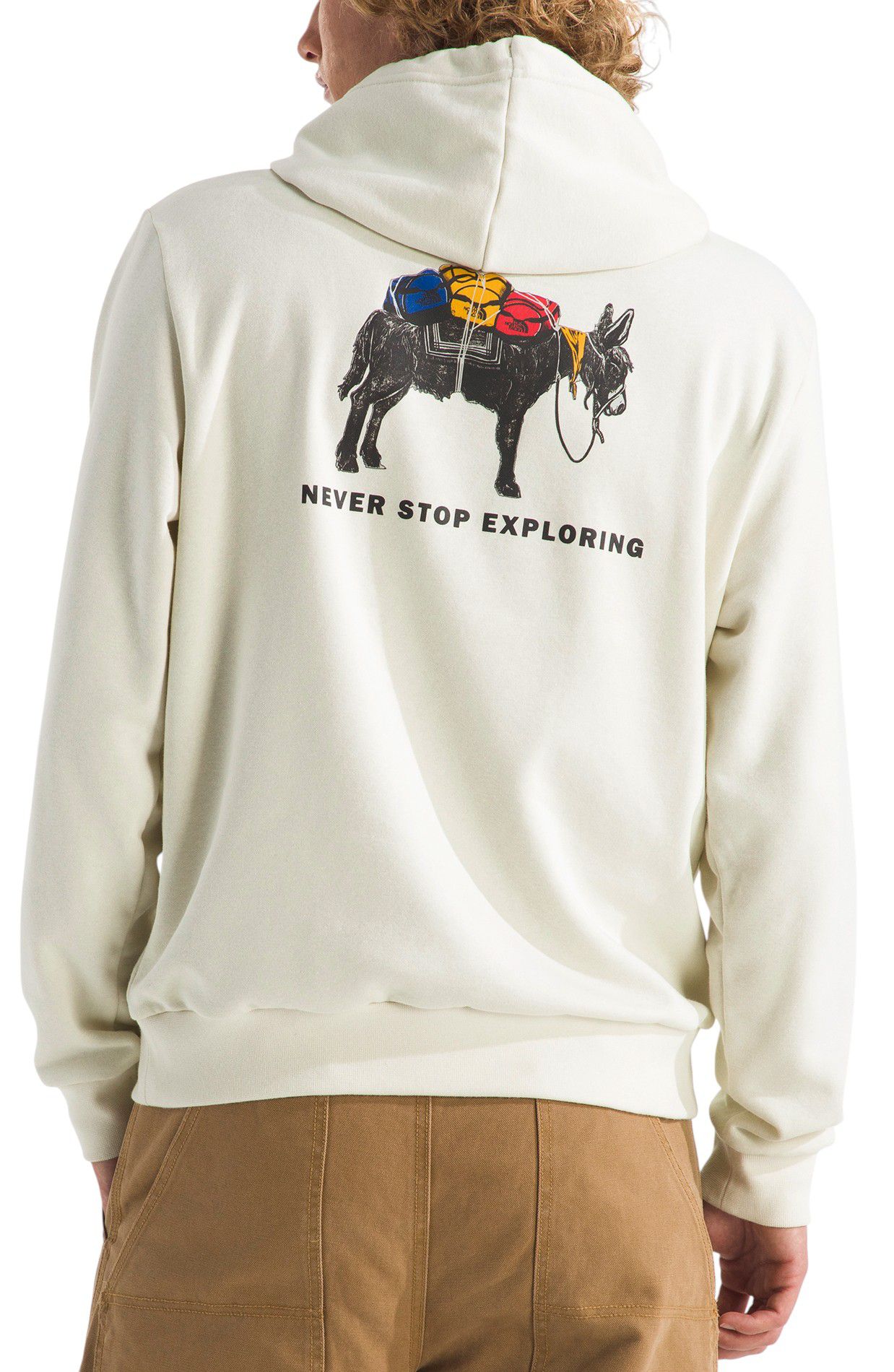 The North Face Men's Evolution Pack Graphic Hoodie product image