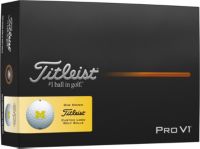 Titleist 2025 Pro V1 Michigan Wolverines Golf Balls | Dick's
