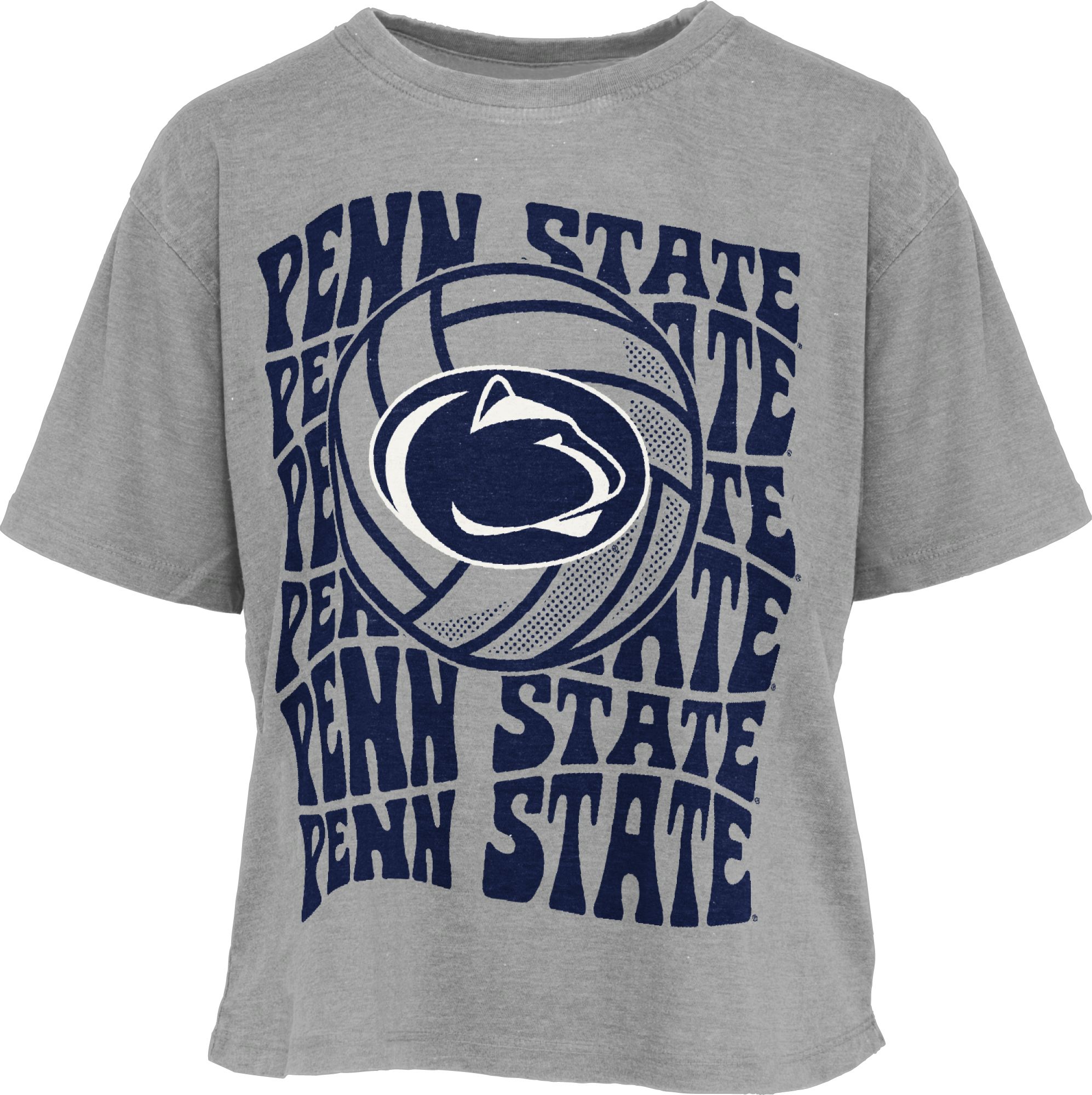 Pressbox Women's Penn State Nittany Lions Grey Volleyball - Main Image