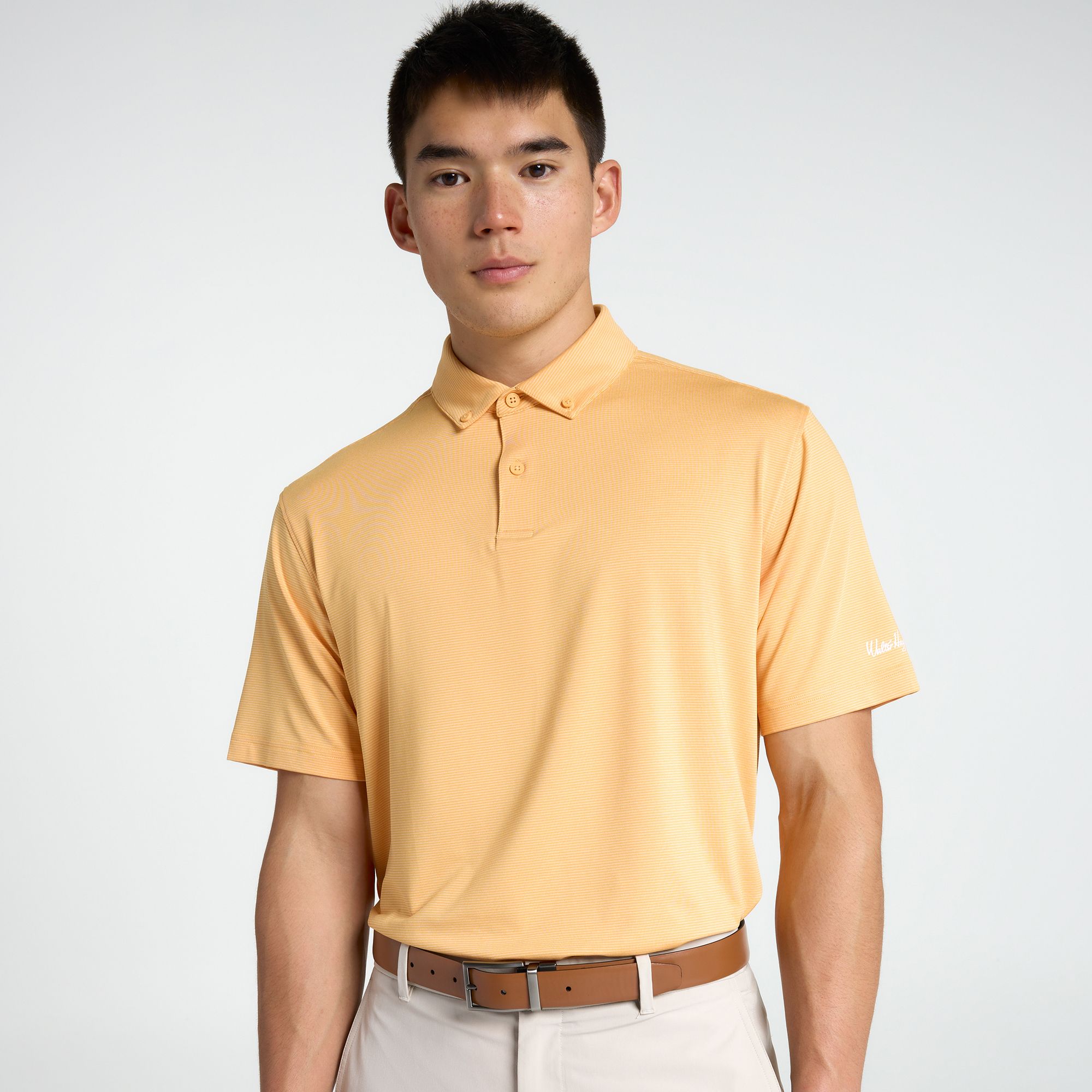 Walter Hagen Men's Performance 11 Champ Stripe Golf Polo product image