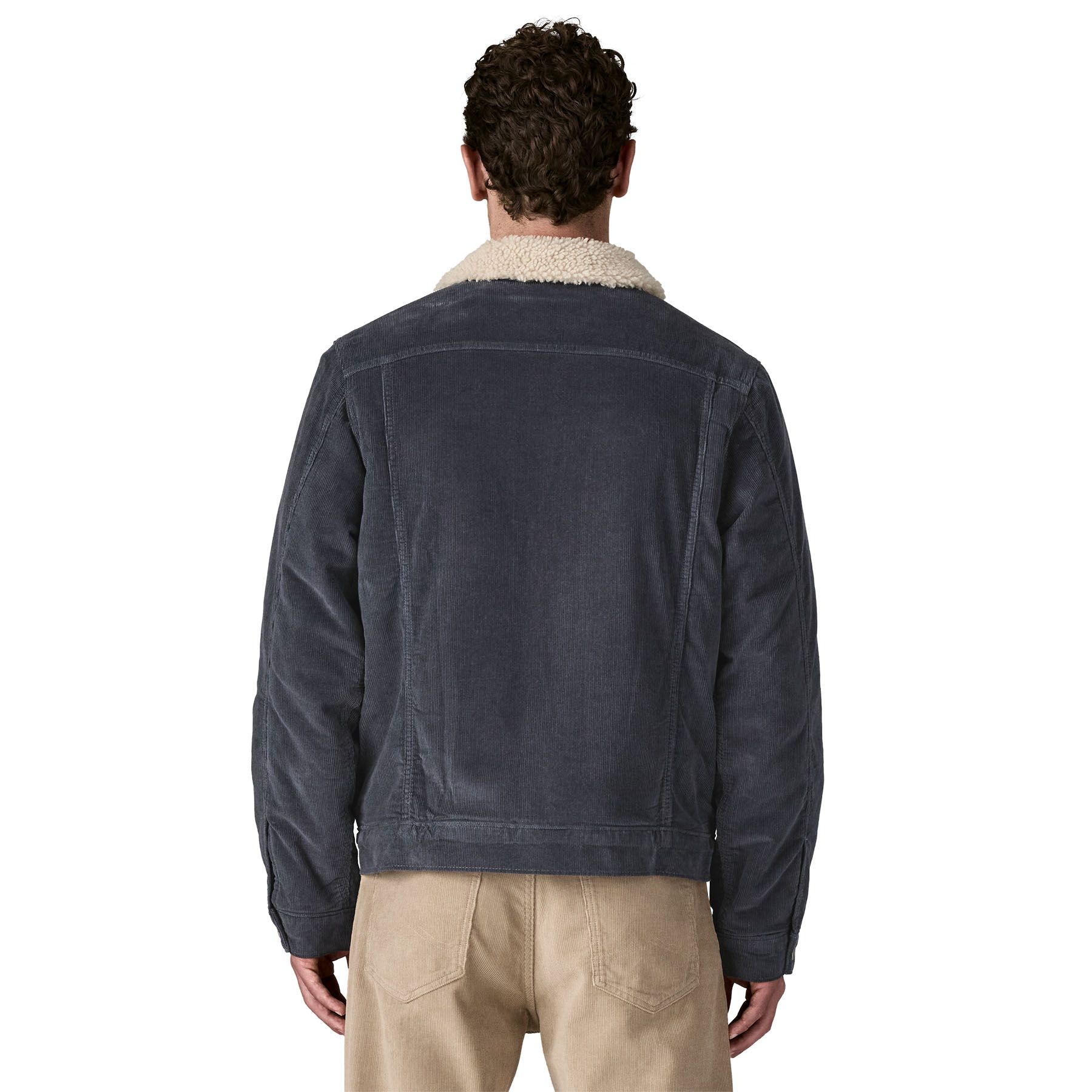Patagonia Men's Pile Lined Trucker Jacket product image