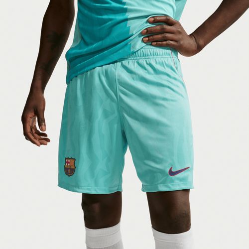 Nike Adult FC Barcelona 2026 Third Strike 1/4 Zip Training