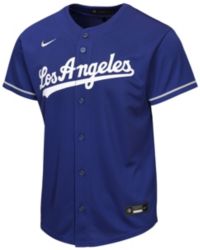 Nike Youth Los Angeles Dodgers Royal Blank Alternate Baseline