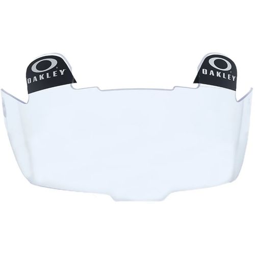 dolphin motorcycle helmets Miami Dolphins Riddell Speed Display Helmet field design Gocvo 2pcs Work Tote HJC_ATS Color:Fate Favours The Brave(Black)