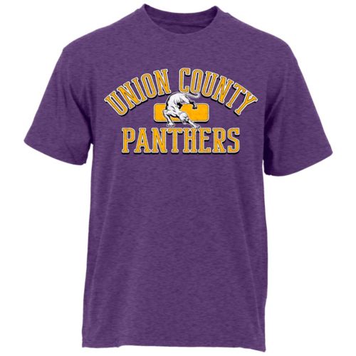 Ohiopyle Prints Adult Wauconda High School Heather Purple Plate