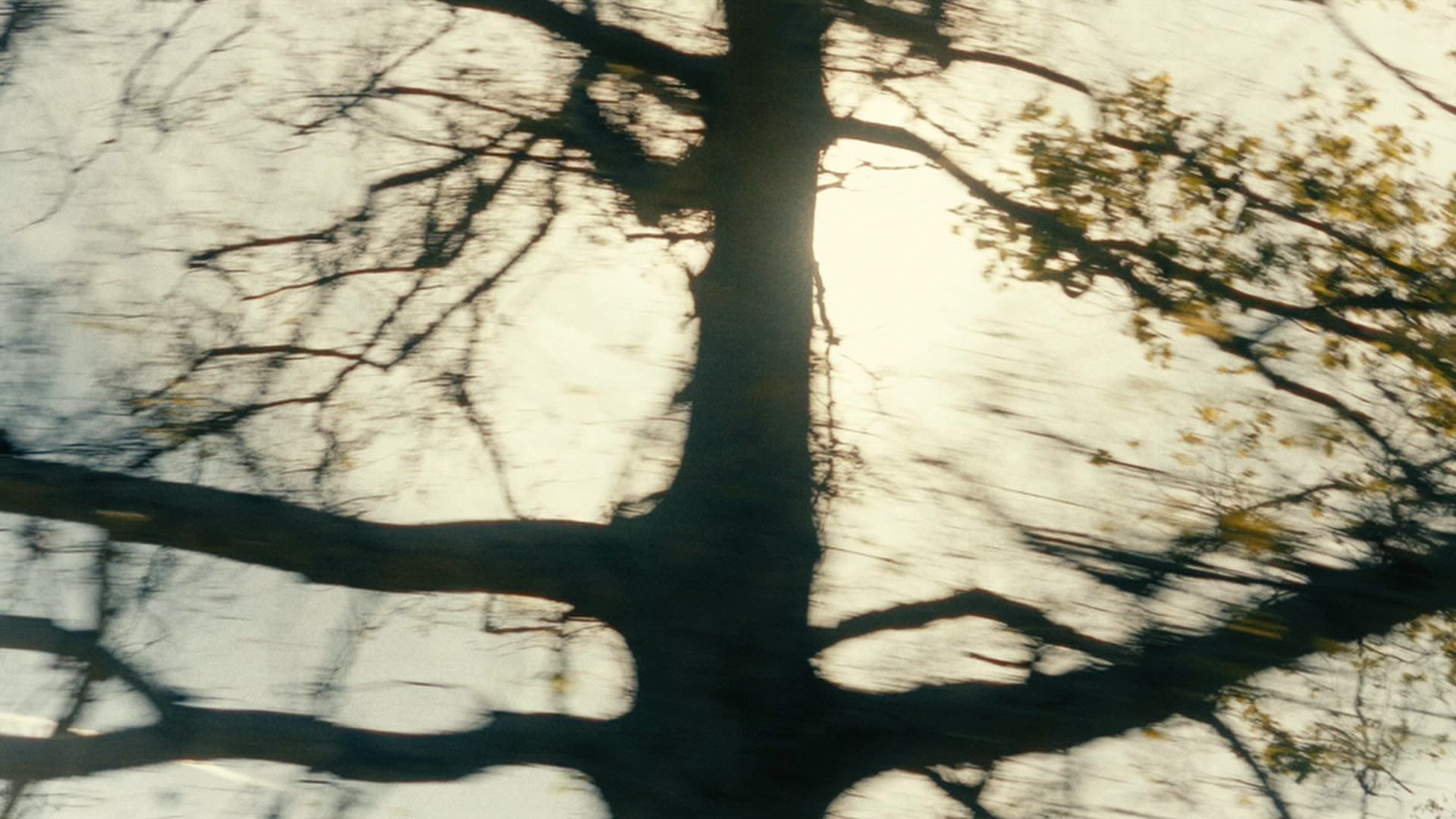 Stanley 12oz. Cafe To Go Travel Mug - Spring Picnic product