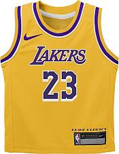 Los Angeles Lakers Nike Icon Edition Swingman Jersey - Gold - Lebron James  - Youth