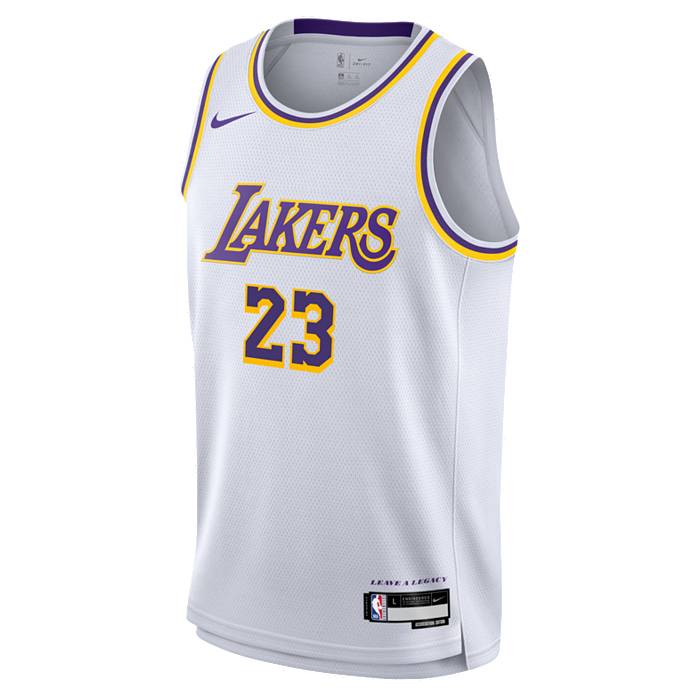  Lebron James Los Angeles Lakers Blue #23 Youth 8-20