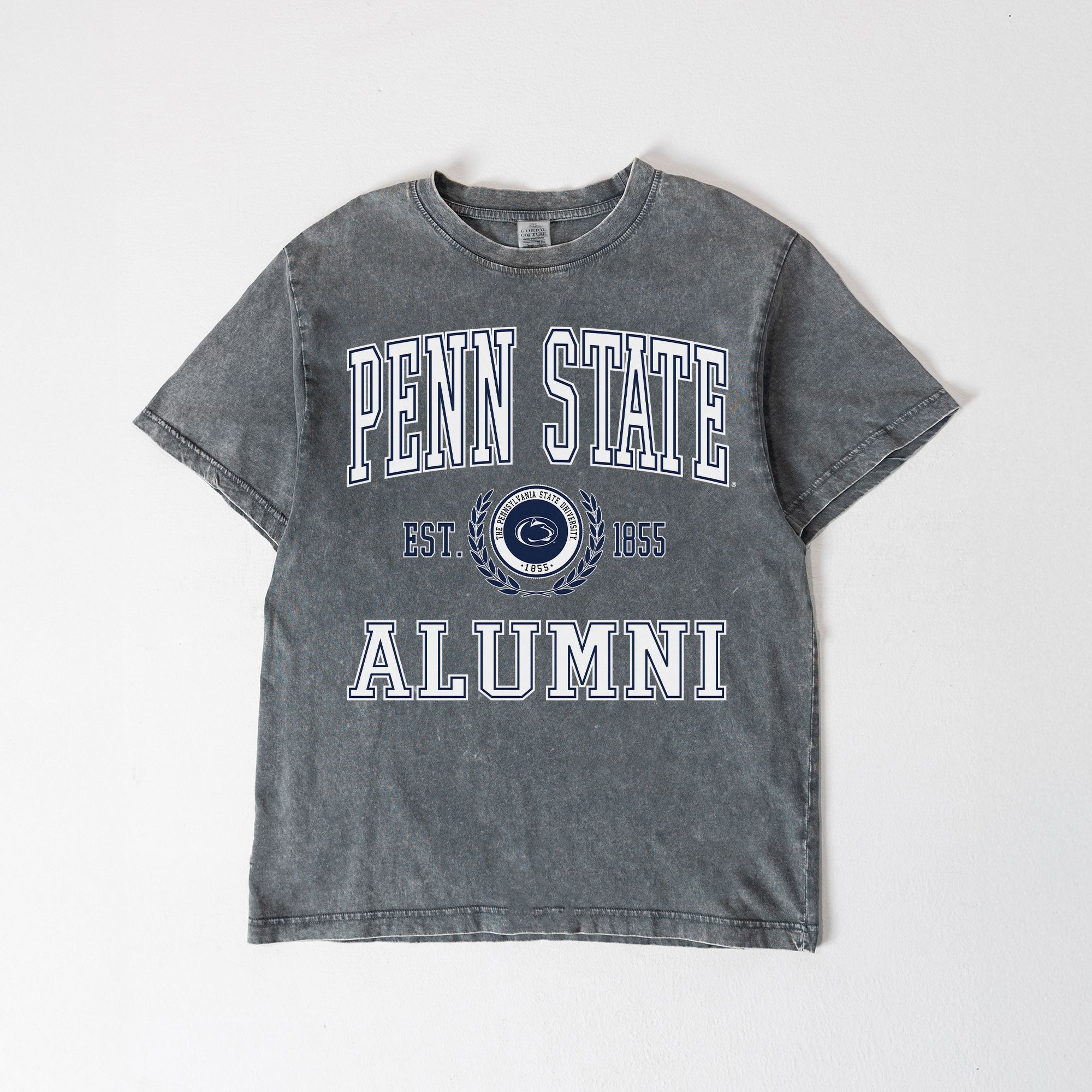 Gameday Couture Women's Penn State Nittany Lions Grey Snow Wash T-Shirt product image