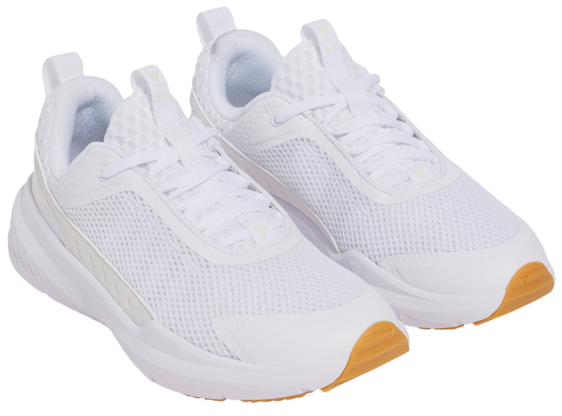 Under Armour Men's Project Rock BSR 5 Training Shoes product image