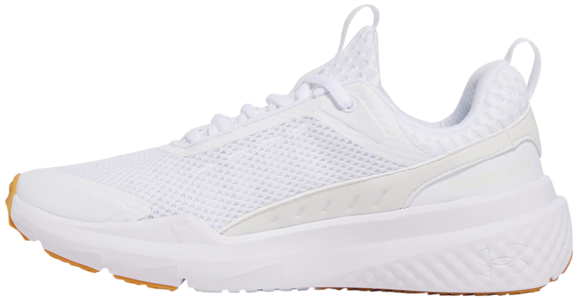 Under Armour Men's Project Rock BSR 5 Training Shoes product image