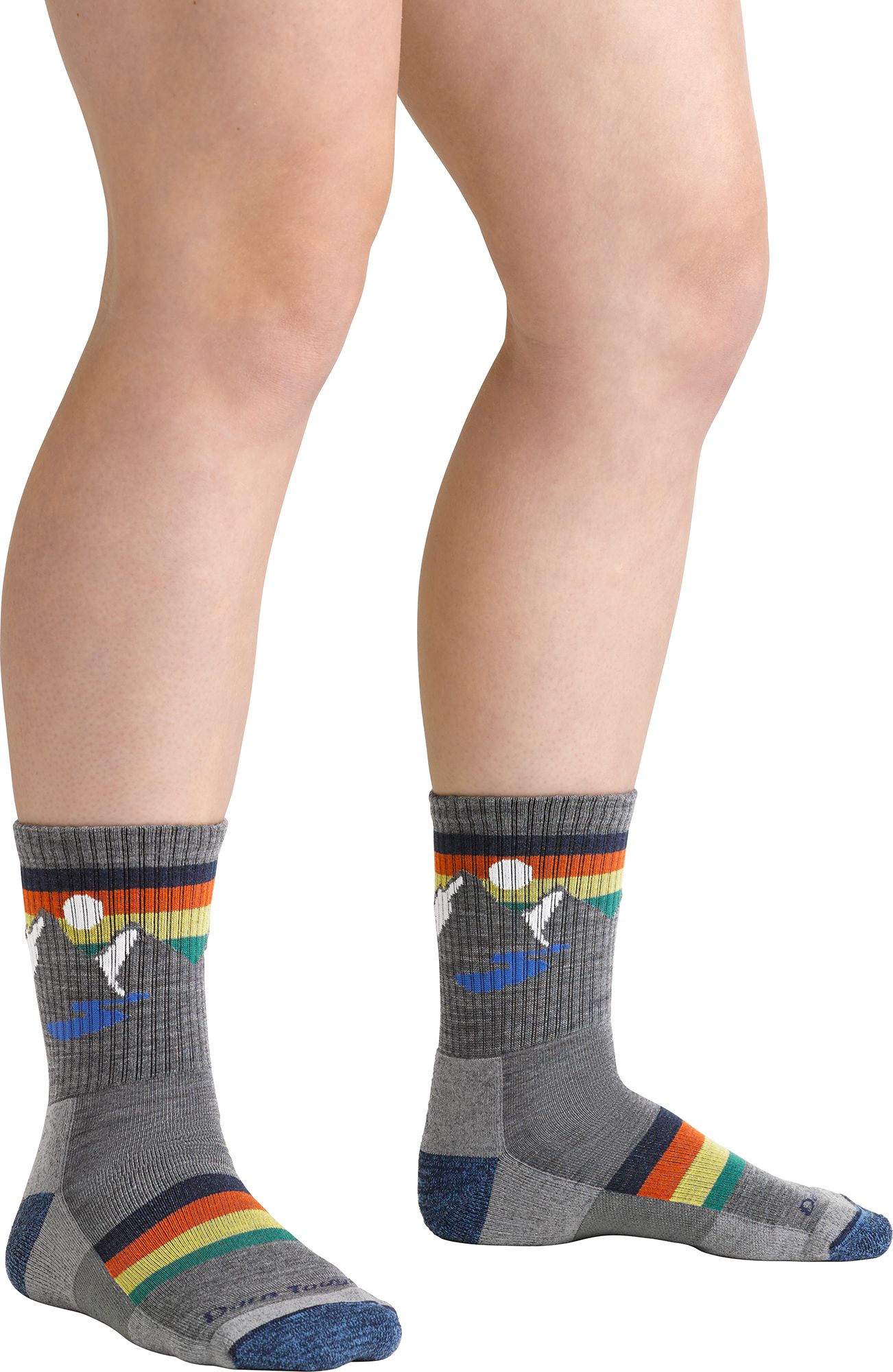 Darn Tough Youth Sunset Ridge Cushioned Micro Crew Hiking Socks product image
