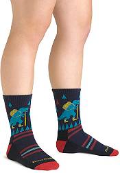 Darn Tough Kids' Ty-Ranger-Saurus Micro Crew Lightweight Hiking Socks product image