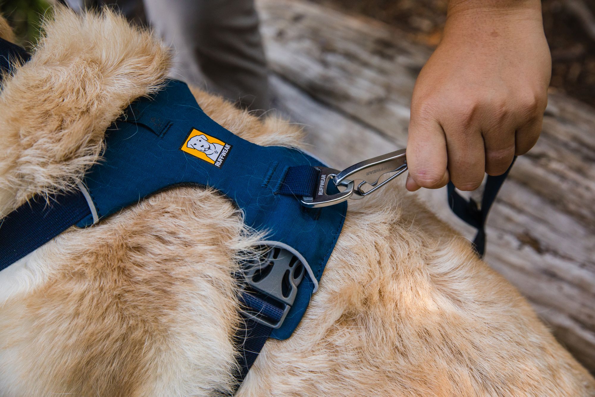 Ruffwear Front Range Dog Harness product image