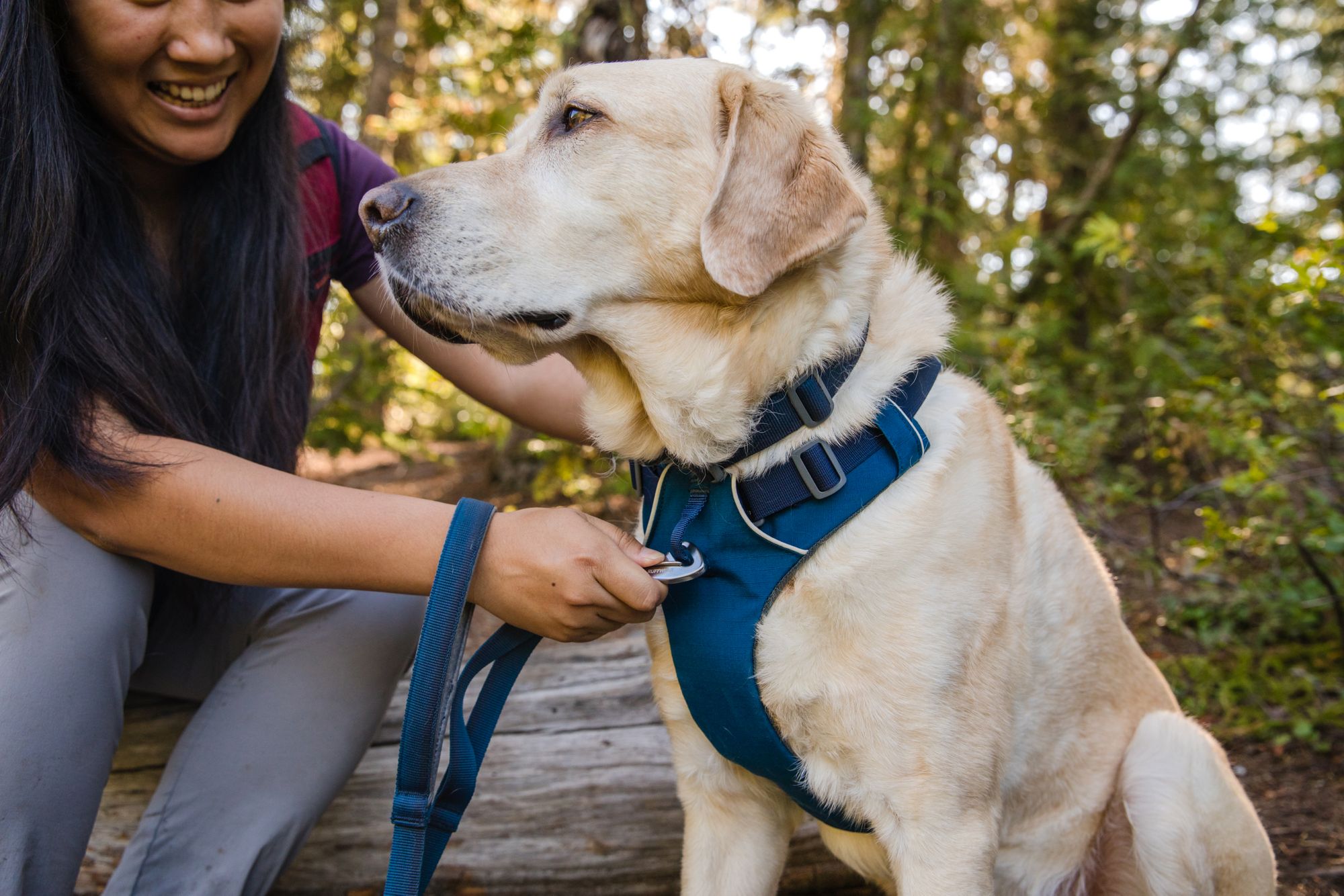 Ruffwear Front Range Dog Harness product image
