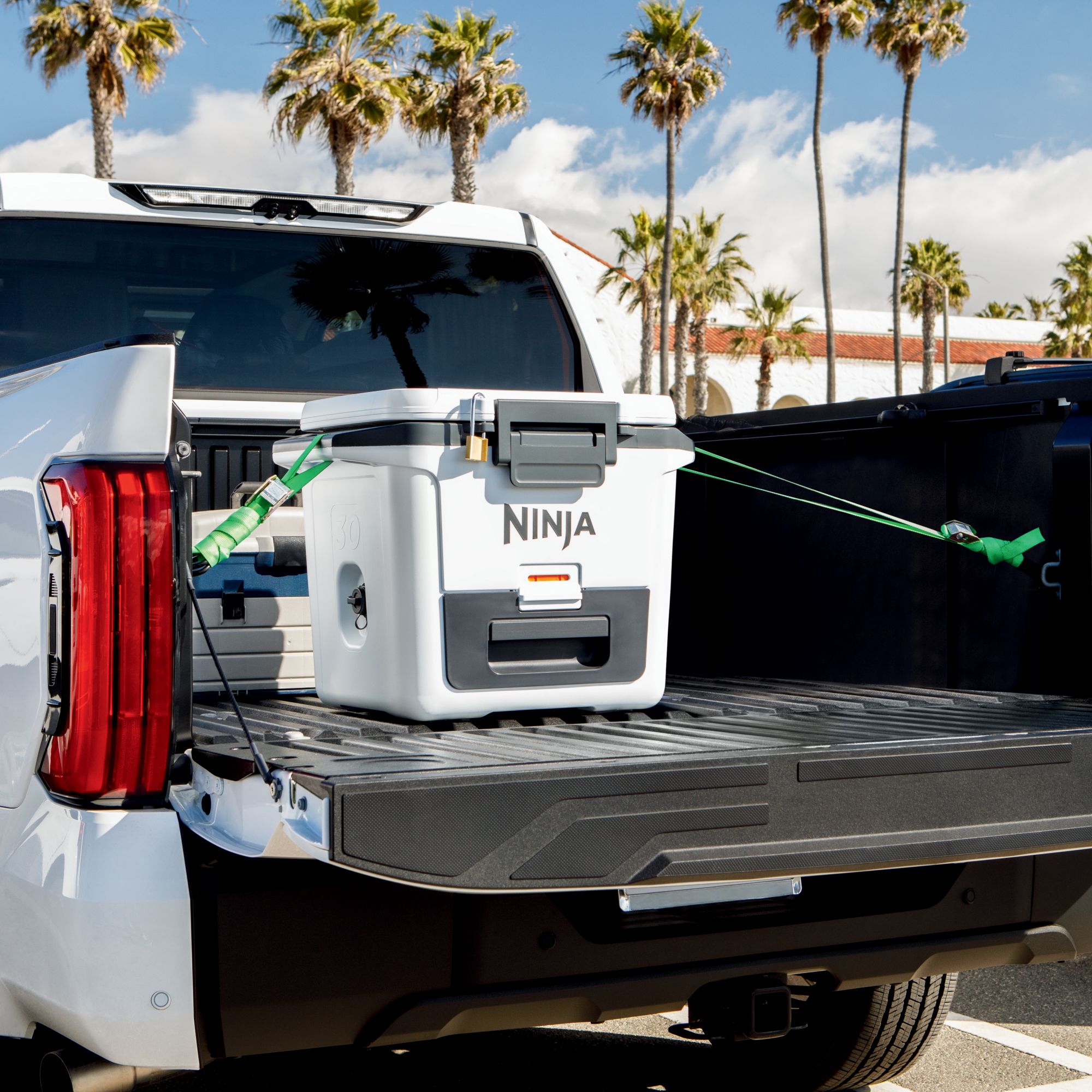 Ninja FrostVault 30 Qt. Hard Cooler with Bonus Cutting Board Divider Insert product image