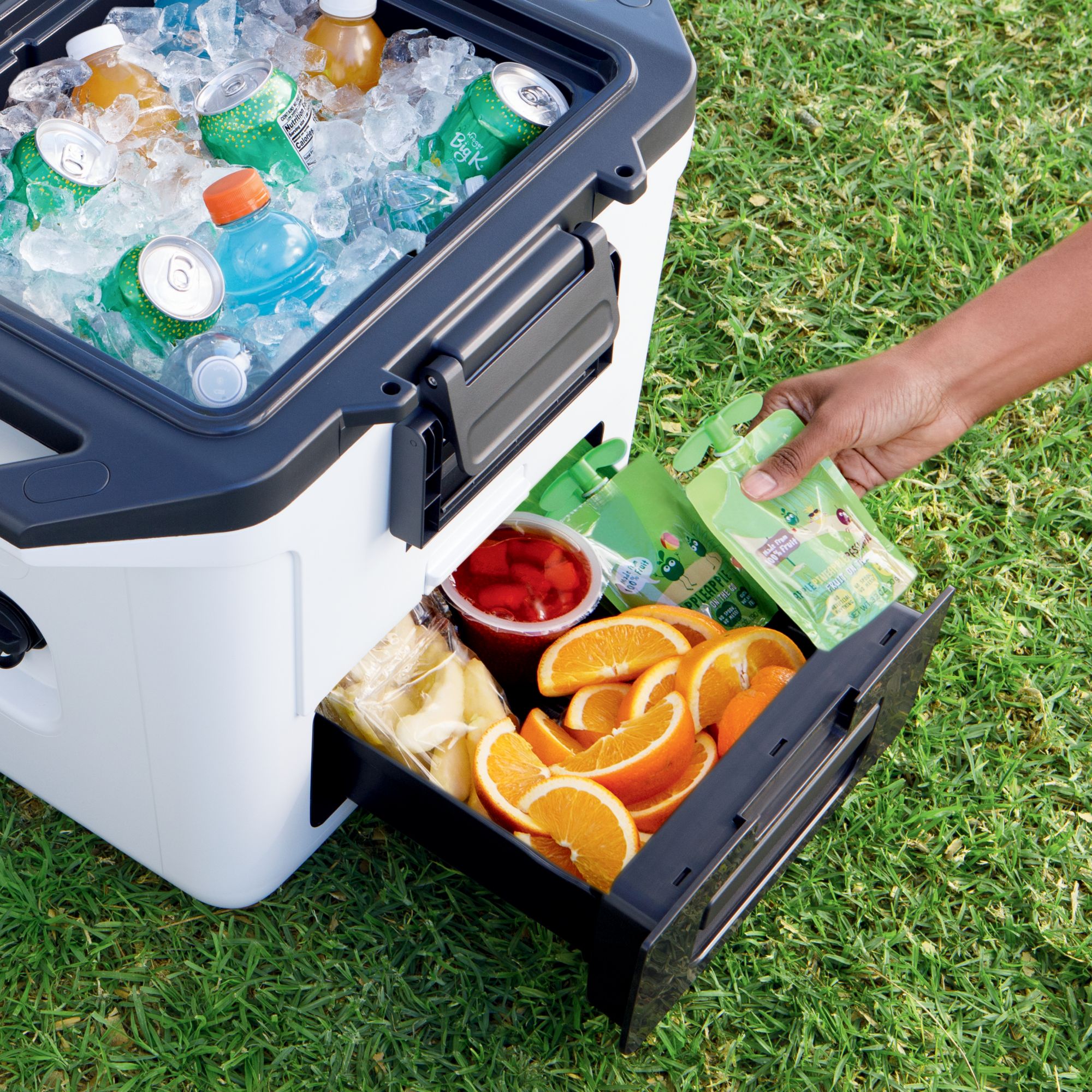 Ninja FrostVault 30 Qt. Hard Cooler with Bonus Cutting Board Divider Insert product image