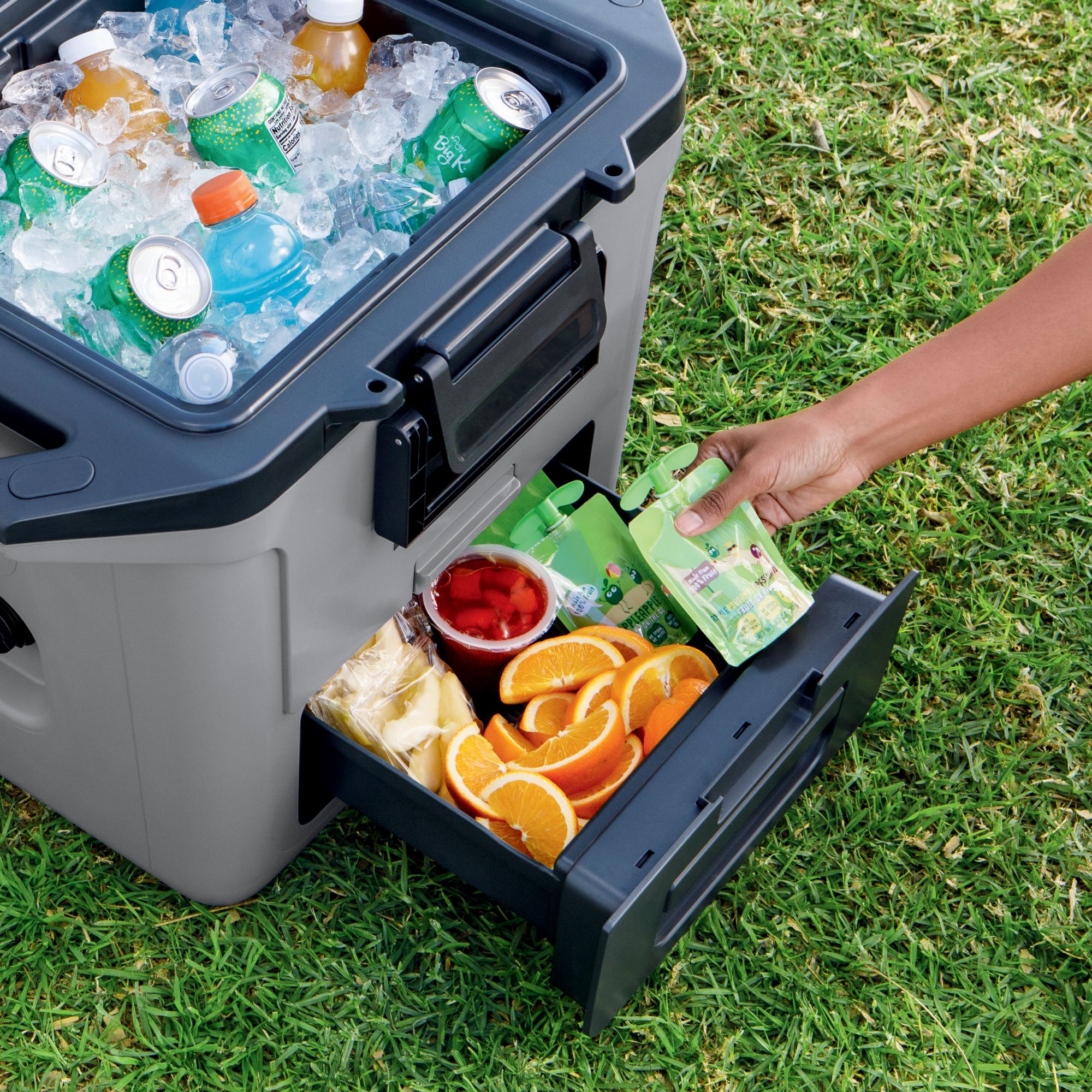 Ninja FrostVault 30 Qt. Hard Cooler with Bonus Cutting Board Divider Insert product image