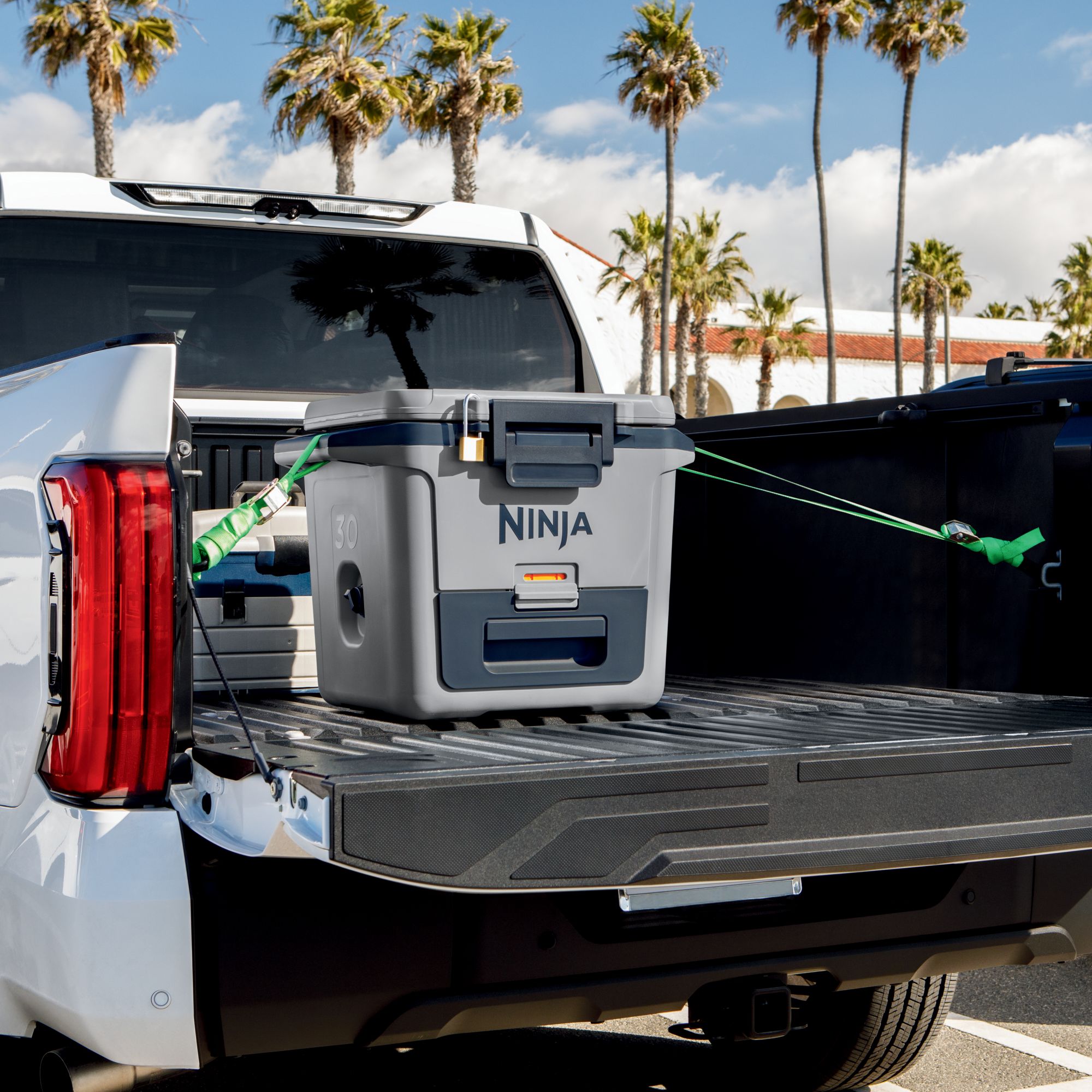 Ninja FrostVault 30 Qt. Hard Cooler with Bonus Cutting Board Divider Insert product image