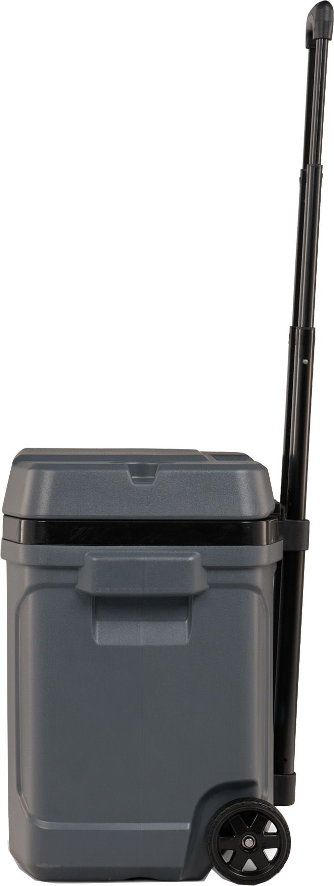 Igloo 30 Quart Latitude Roller Cooler product image
