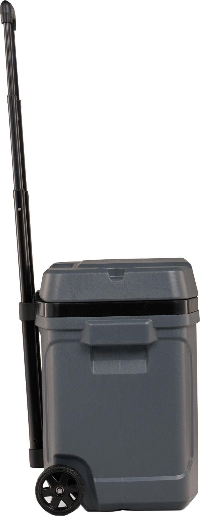 Igloo 30 Quart Latitude Roller Cooler product image