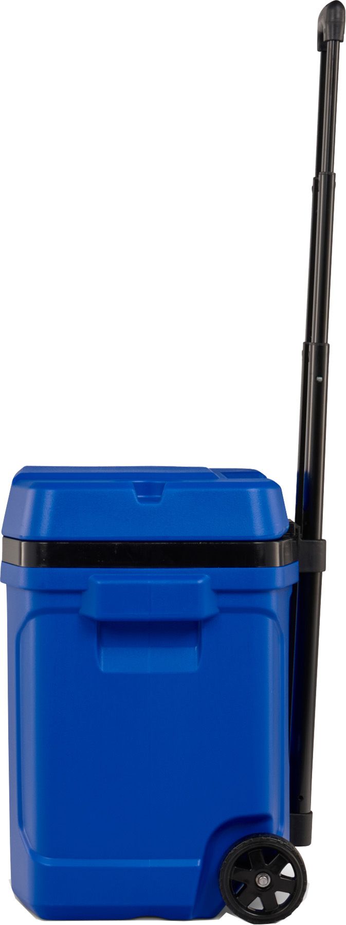 Igloo 30 Quart Latitude Roller Cooler product image