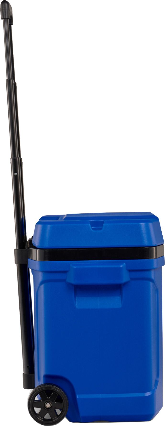 Igloo 30 Quart Latitude Roller Cooler product image