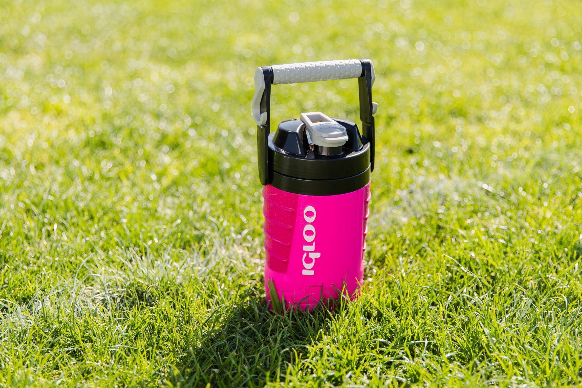 Igloo Proformance 1 Quart Jug product image